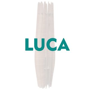 Luca